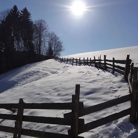 Ranzinger Hof דירה ולדקירכן